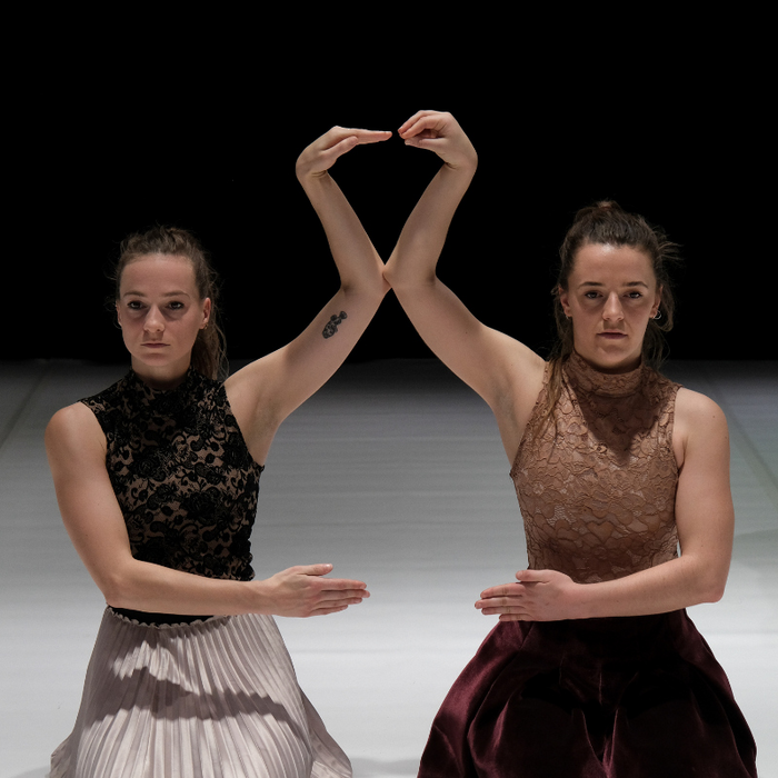 Spectacles Printemps la Danse