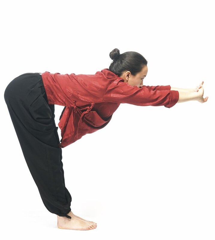 Stages,cours Cours Qi Gong ligne tous mardis soir