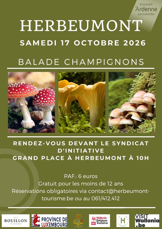 Loisirs Balade champignons
