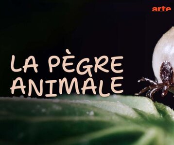 Spectacles Projection documentaire Paul-Aurélien Combre La pègre animale, vie secrète 