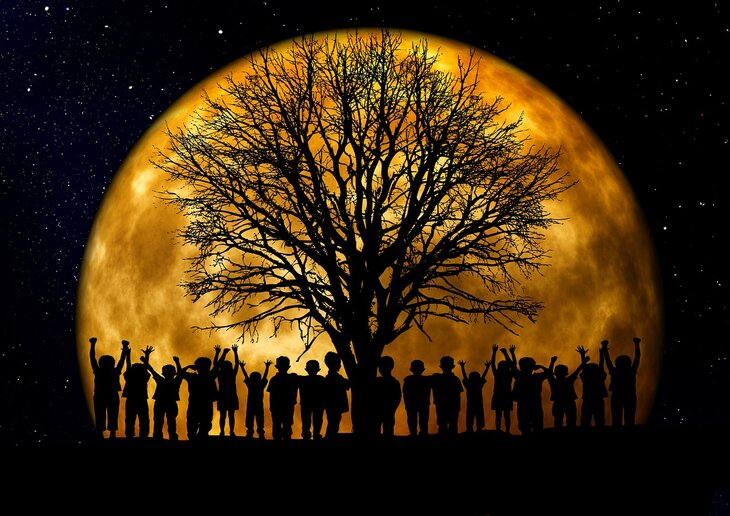 Stages,cours Soirée découvertes constellations familiales