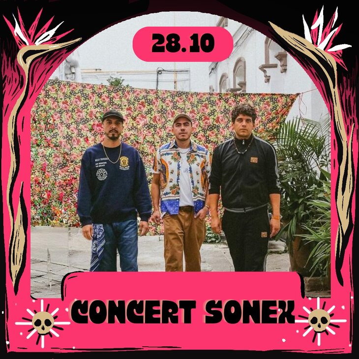 Concerts Concert “Sonex”