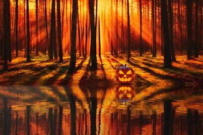 Loisirs Kermesse Halloween