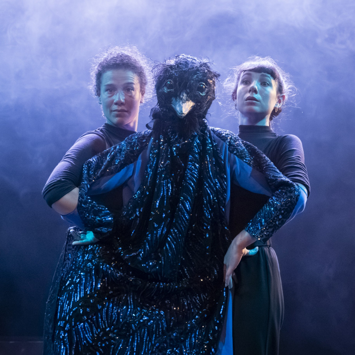 Spectacles Doppelabend : Tribu Collectif brèche & Flunker Produktionen The Magic Butter Sho