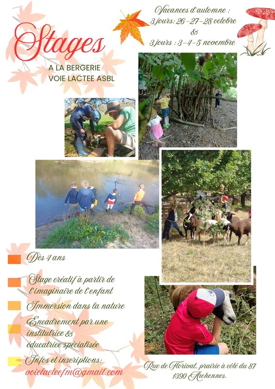 Stages,cours Stage nature la Bergerie Voie Lactée