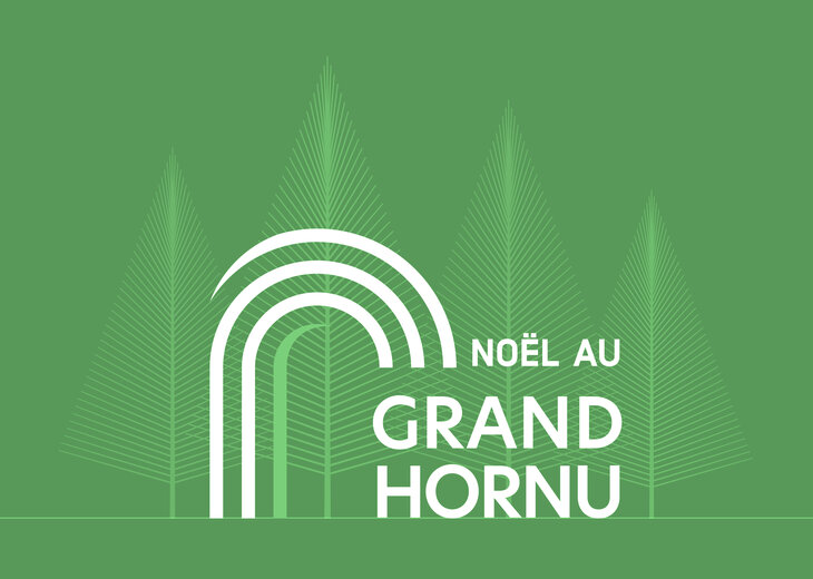 Stages,cours Noël Grand-Hornu