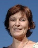 Conférences Les métaux critiques