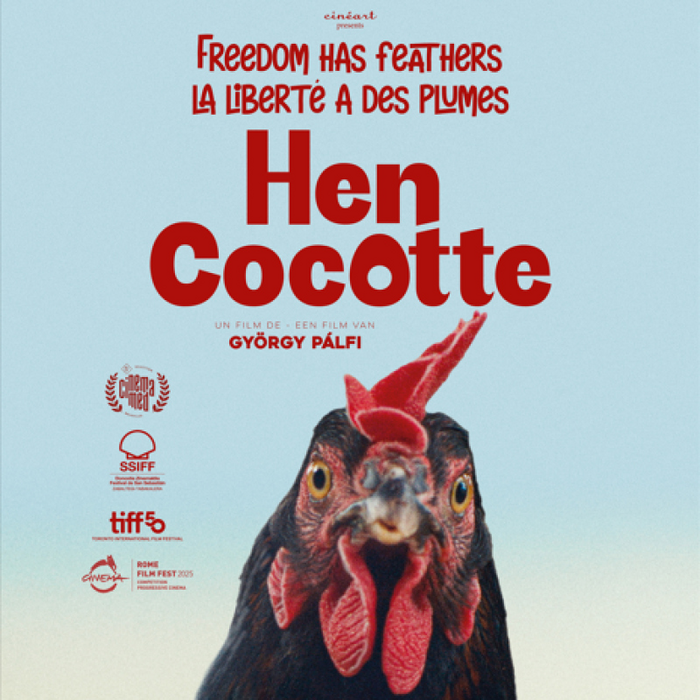 Spectacles Cocotte