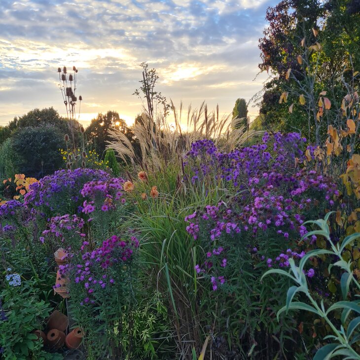 Loisirs Ouverture jardin