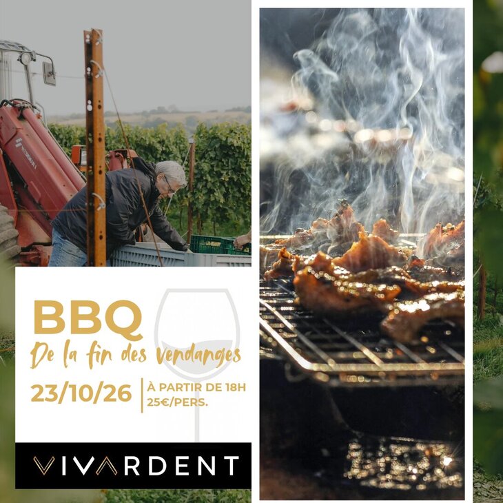 Loisirs VivArdent : fin vendanges