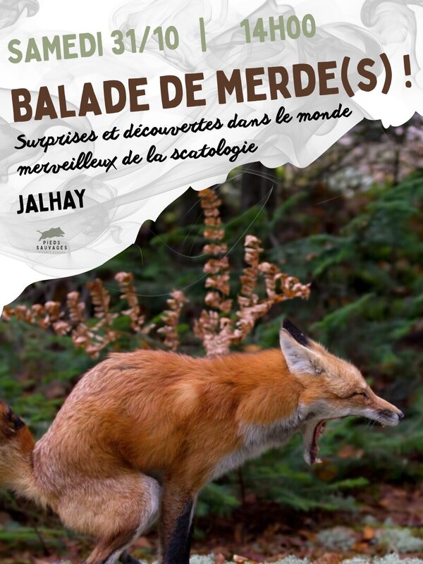 Loisirs Balade merde(s) | sortie nature originale 