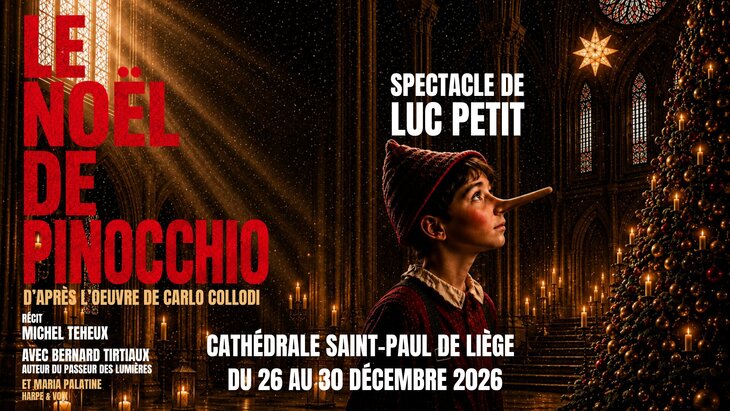 Spectacles Le Noël Pinocchio - Petit