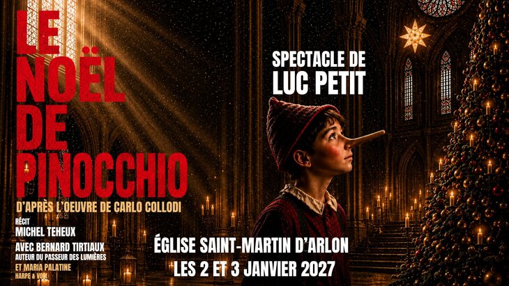 Spectacles Le Noël Pinocchio - Petit