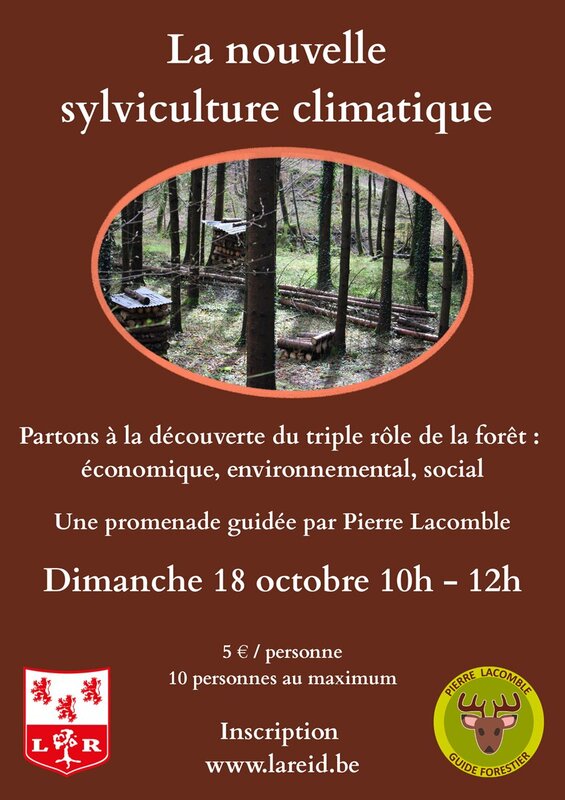 Loisirs La nouvelle sylviculture climatique