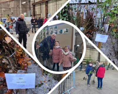 Loisirs Semaine l Arbre 2023 - Distribution plants