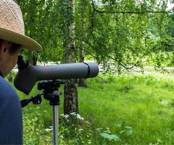 Loisirs Sortie ornithologique