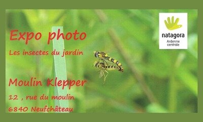 Expositions Expo photo : insectes jardin