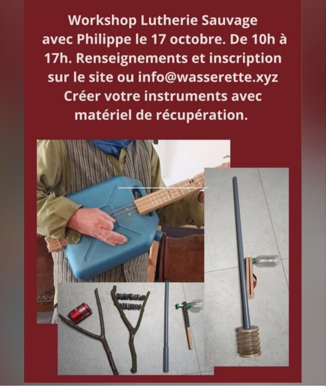 Stages,cours Lutherie Sauvage