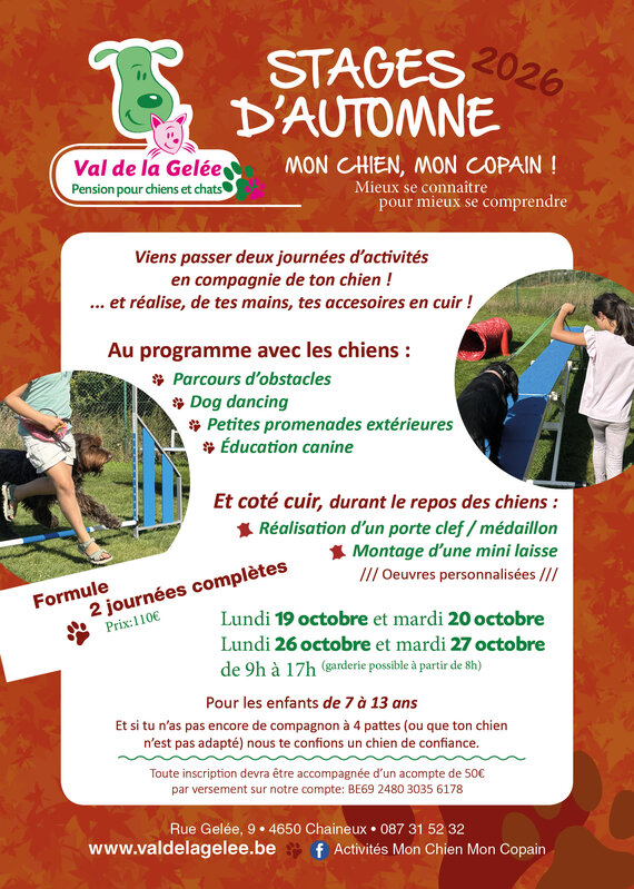 Stages,cours Stage Chien Copain