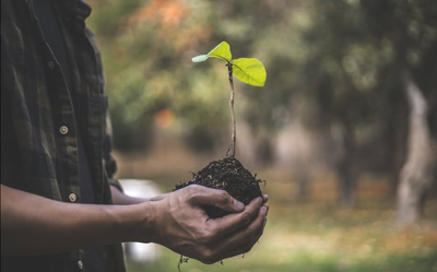 Loisirs Semaine l’arbre 2026 Distribution d’arbres