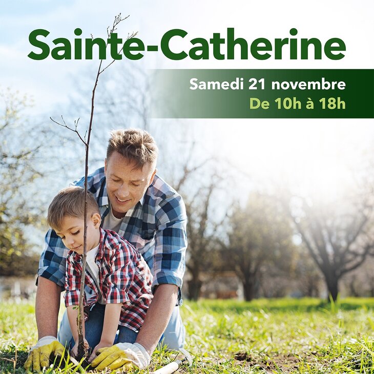 Loisirs Journée la Sainte-Catherine Crie Mariemont