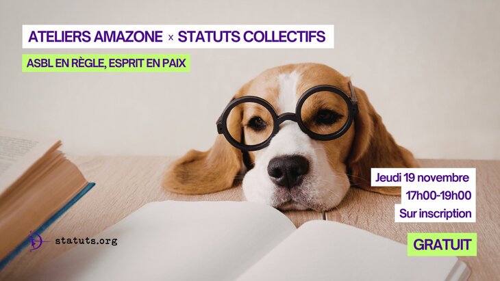 Stages,cours Atelier création d ASBL (Statuts Collectifs & Amazone)