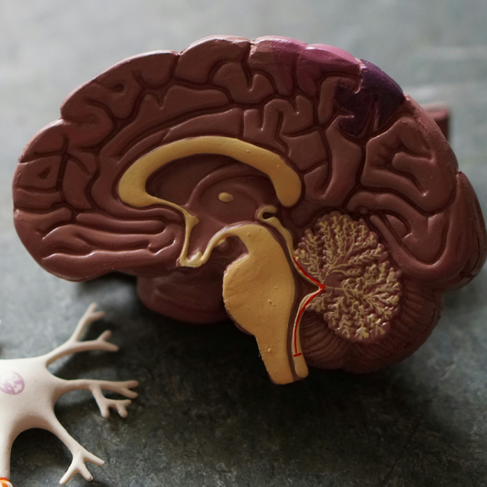 Conférences Expérience mort imminente : Quand science enquête