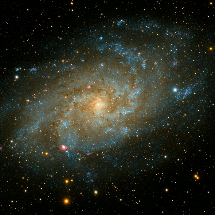 Conférences Cosmic Pulse : conférence mêlant astrophysique musique pour ressentir grandeur d