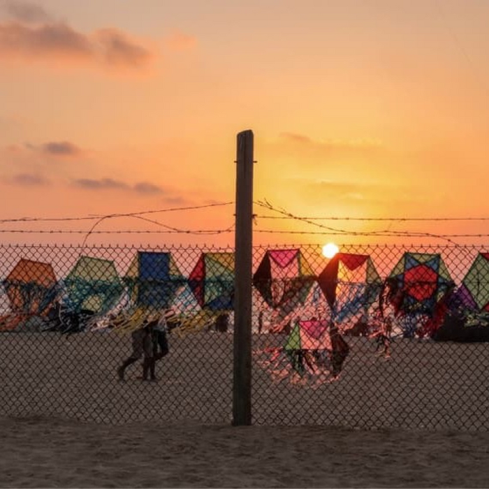 Stages,cours From Gaza