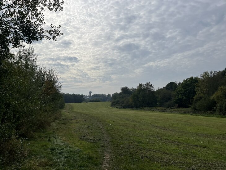 Loisirs Randonnée Capitale  Hoeilaart : hauts, bas des bois 