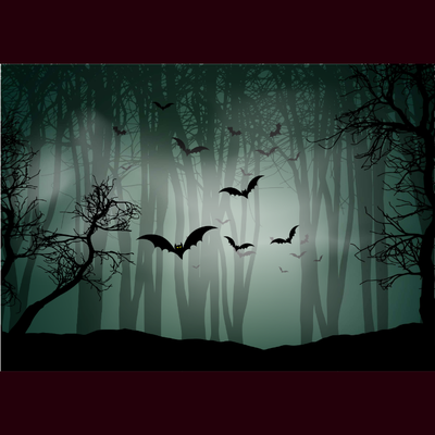 Spectacles Halloween - Balades contées dans forêt interdite