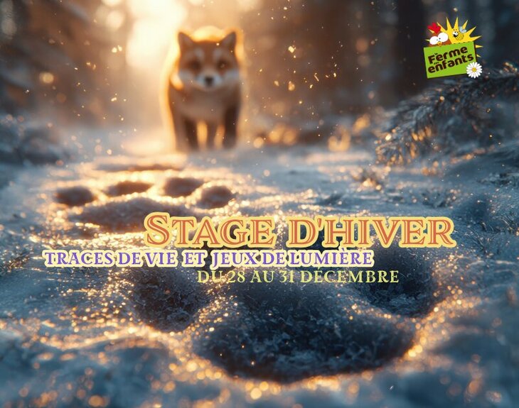 Stages,cours Stage d hiver
