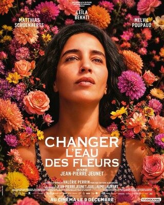 Spectacles Des femmes service femmes