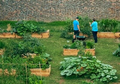 Loisirs Semaine l arbre : activités verger