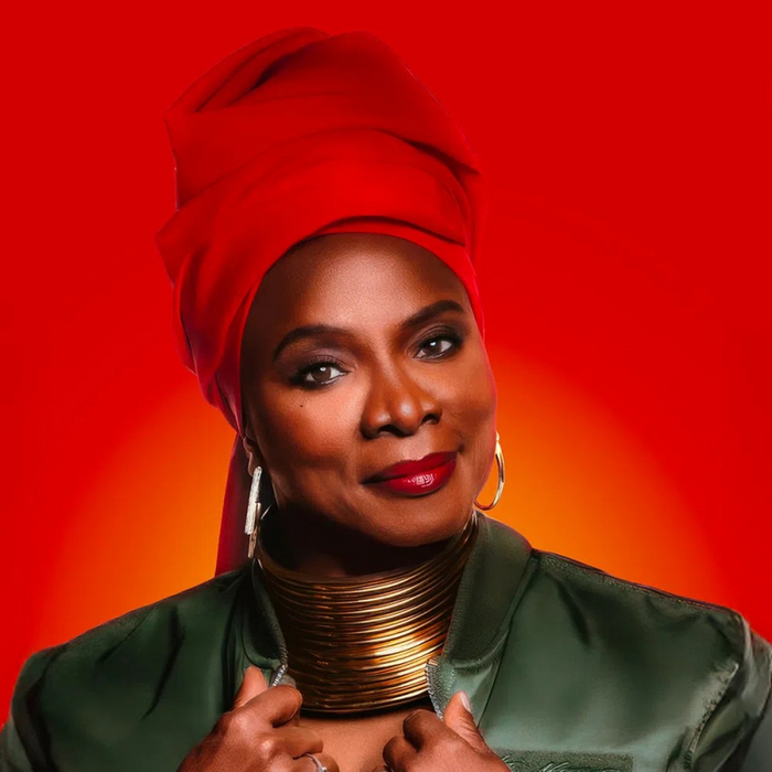 Concerts Angélique Kidjo