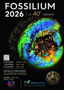 Expositions 40 de Fossilium : Côte d’Opale raconte histoire