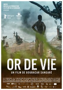 Spectacles Projection/Rencontre: de de Boubacar Sangaré