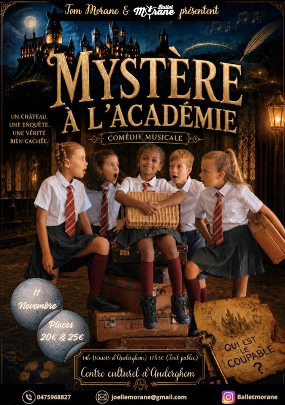 Spectacles Comédie Musicale, Mystère l Académie