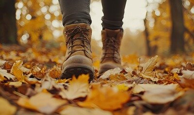 Loisirs Marche Adeps Amis la Nature