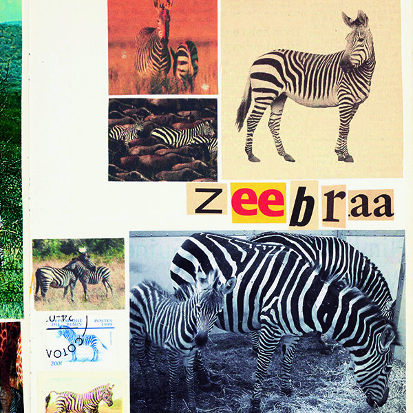 Stages,cours Stage Bienvenue la ménagerie
