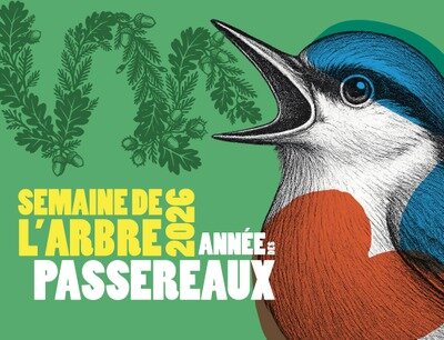 Conférences Pollec - Conférence Comment bien nourrir oiseaux hiver?