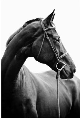 Soirées Souper campagnard Jockey Club Ellezelles-Frasnes