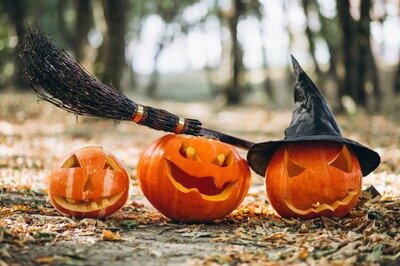 Soirées Soirée Halloween