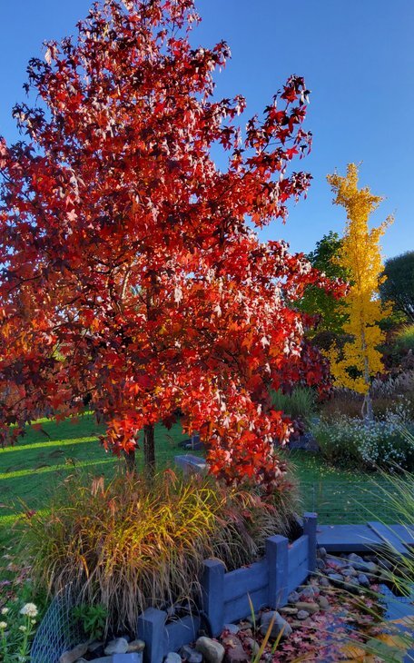 Loisirs Balade Jardin clé temps pour finir beauté cette saison
