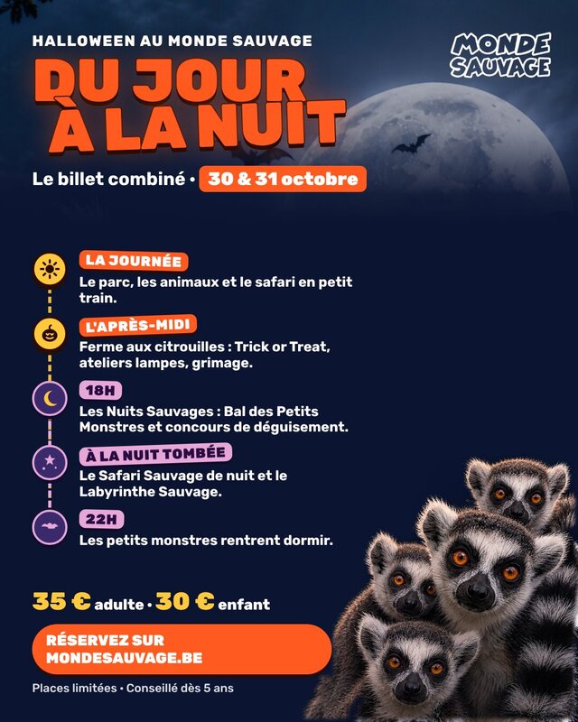 Loisirs Nuits Sauvages - Halloween