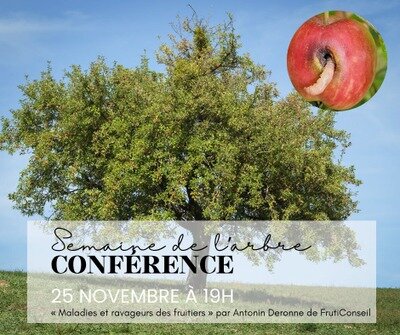 Conférences Semaine L’ARBRE Conférence