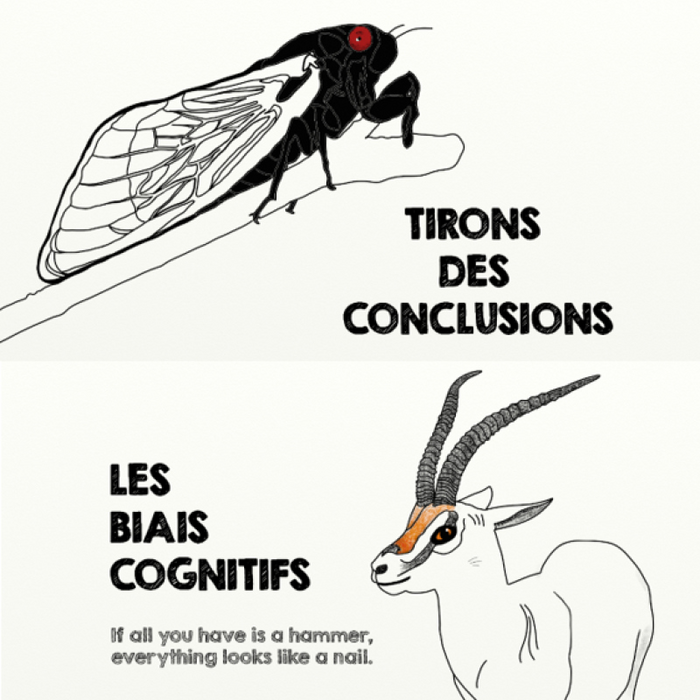 Conférences Les Conférences