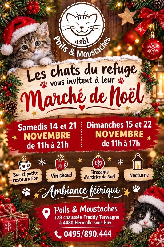Marchés de Noël Marché Noël la ferme chats