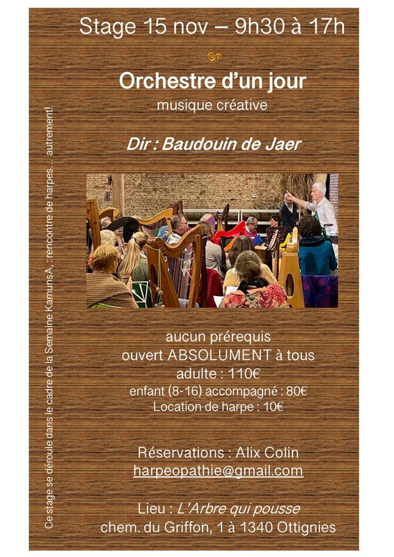 Stages,cours Orchestre d un jour harpes