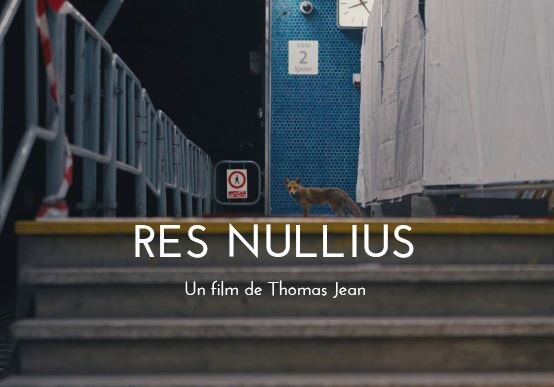 Spectacles Res Nullius - Projection échange